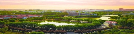 为什么篮球教练的经验对球员发展至关重要_2